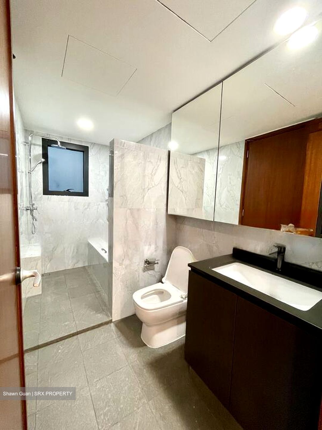 River Place (D3), Condominium #486844011